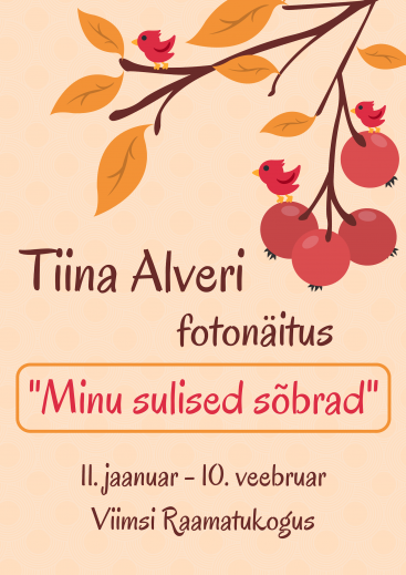 Tiina Alveri fotonitus ''Minu sulised sbrad''